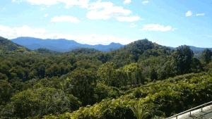 IMG-SEPT25-4-australia